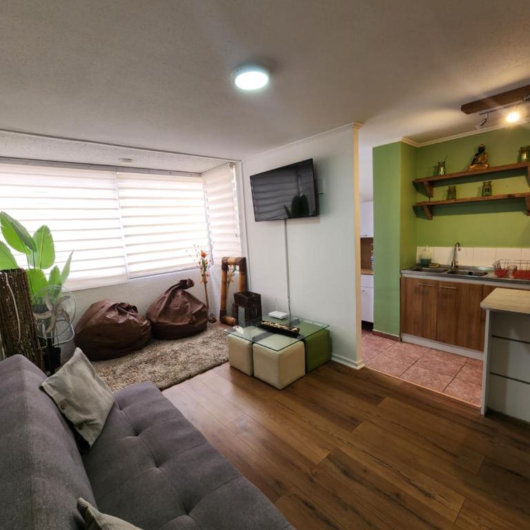 Céntrico y cómodo departamento - Apartamento de 2 dormitorios - 1