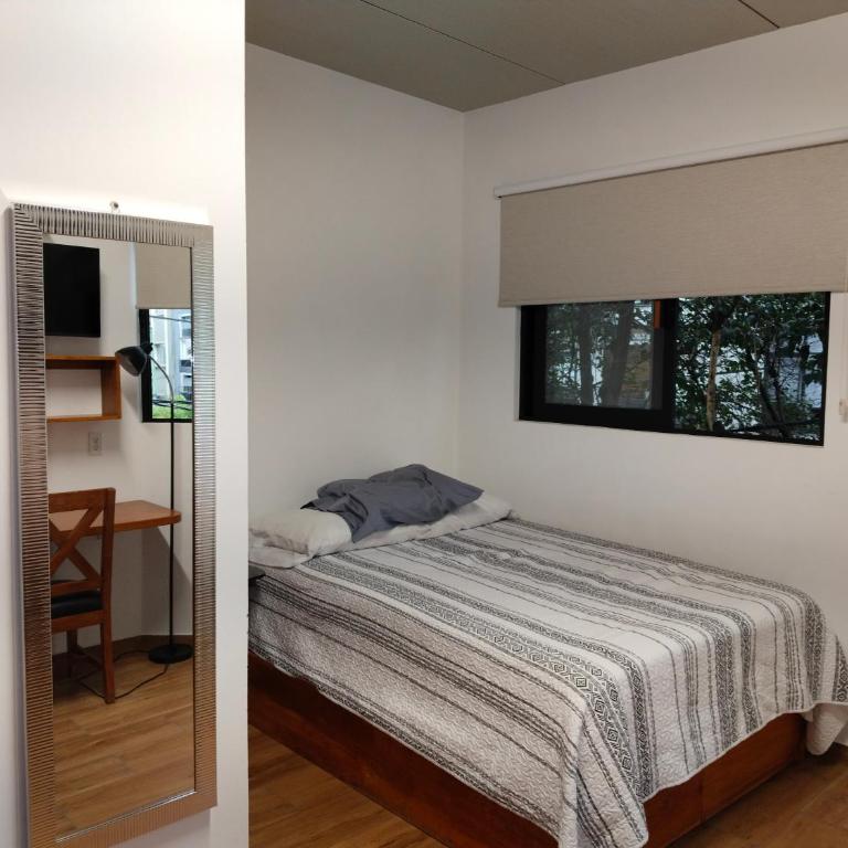 Posada Luz Saviñón - Estudio con 1 cama grande - 2