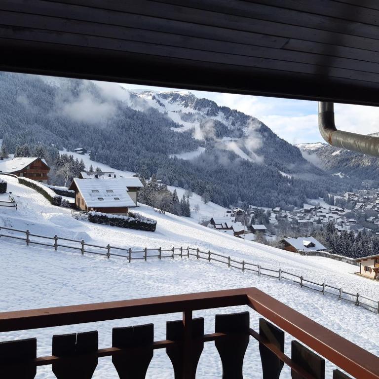 Studio Mezzanine 4 Pers, Parking, Près Centre Châtel - FR-1-676-213 - Studio - 17