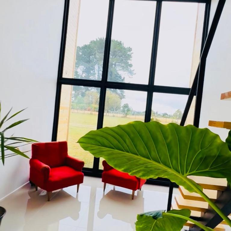 Alojamiento para 2 con tinaja - One-Bedroom Apartment - 2
