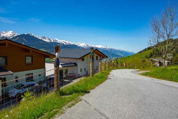 Bergbauernhof Familienparadies Oberhasenberghof - Appartement 1 Chambre avec Terrasse - 5