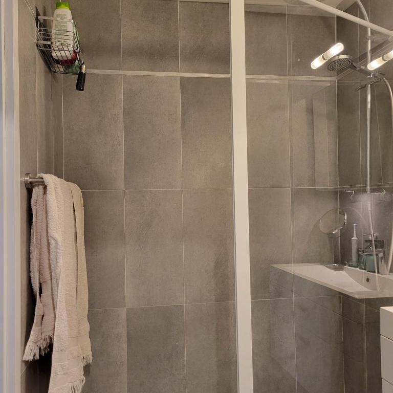 Beau T3 au calme, vue mer imprenable - Apartamento con vistas y balcón - 9