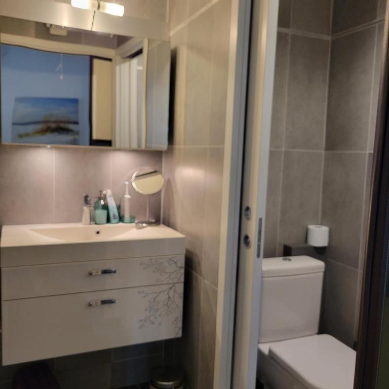 Beau T3 au calme, vue mer imprenable - Apartamento con vistas y balcón - 10