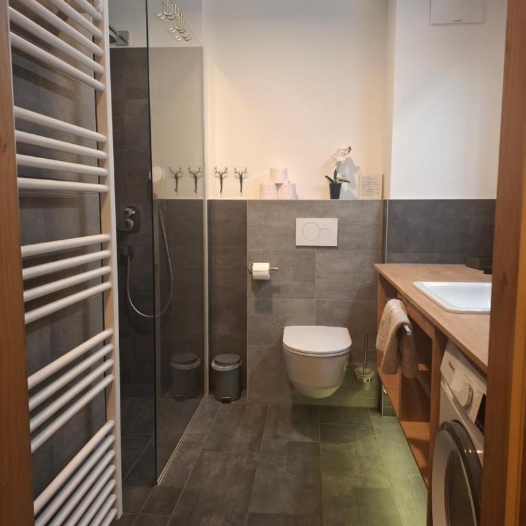 Deluxe Alpenkrone Schladming - Apartment mit Terrasse - 3
