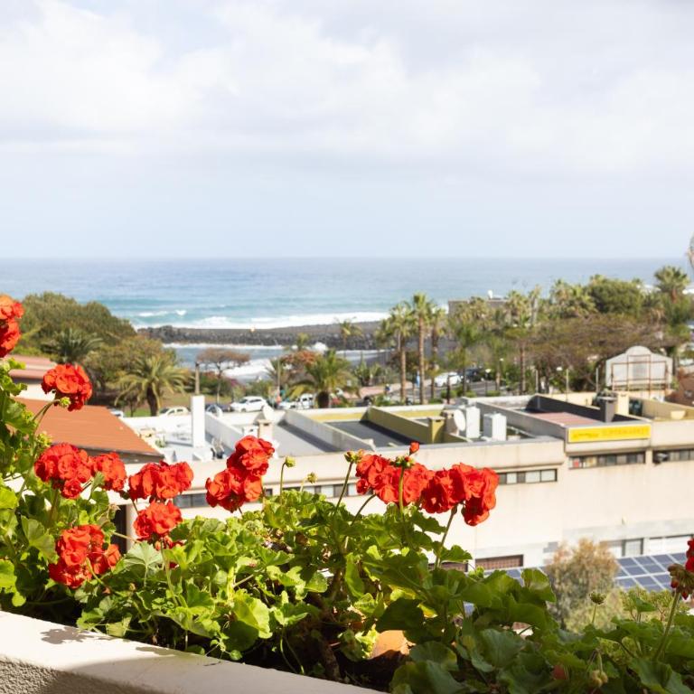 Apartamento con vistas al océano - Apartamento de 1 dormitorio - 25