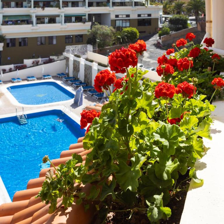 Apartamento con vistas al océano - Apartamento de 1 dormitorio - 26