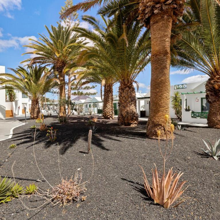 Home2Book Sunny Dream Apt Puerto del Carmen, Pool - Apartamento de 1 dormitorio - 23