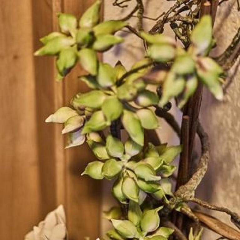 Ferienwohnungen Kuchler - Appartamento con 2 Camere da Letto - 5