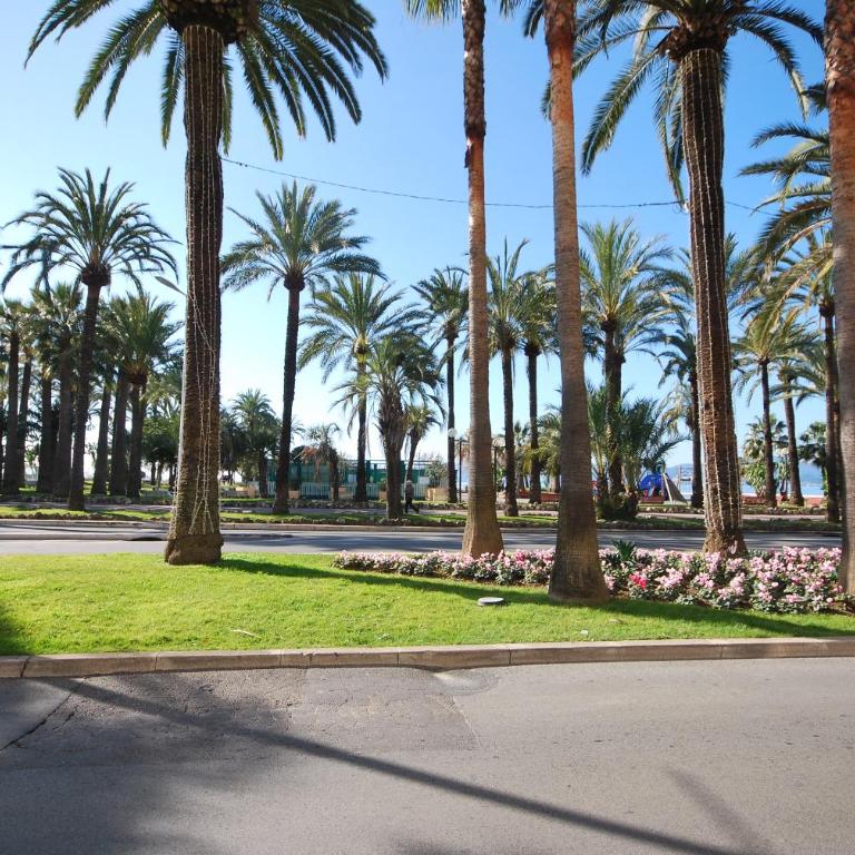 One bedroom apartment Palm Beach - Appartement 1 Chambre - 12