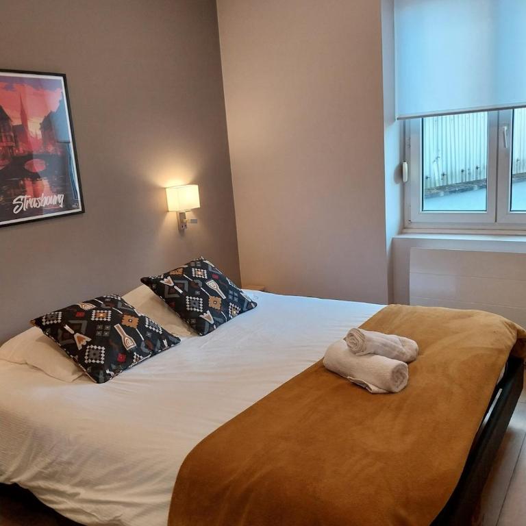 Superbe appartement à Strasbourg - Apartamento de 2 dormitorios - 13