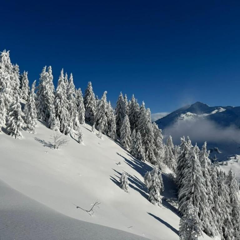 Monkey Barn Morzine Les Gets - Maison 6 Chambres - 9
