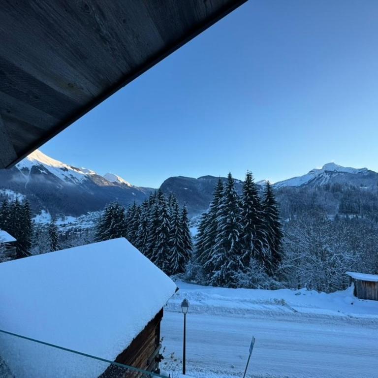 Monkey Barn Morzine Les Gets - Maison 6 Chambres - 22