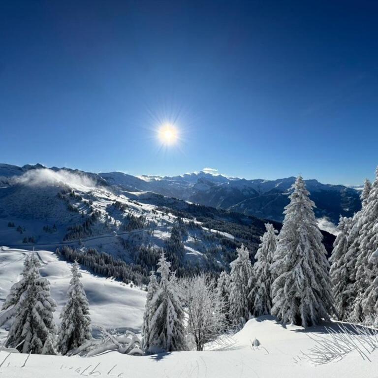 Monkey Barn Morzine Les Gets - Maison 6 Chambres - 33