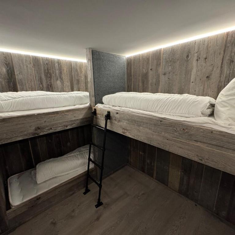 Monkey Barn Morzine Les Gets - Maison 6 Chambres - 59