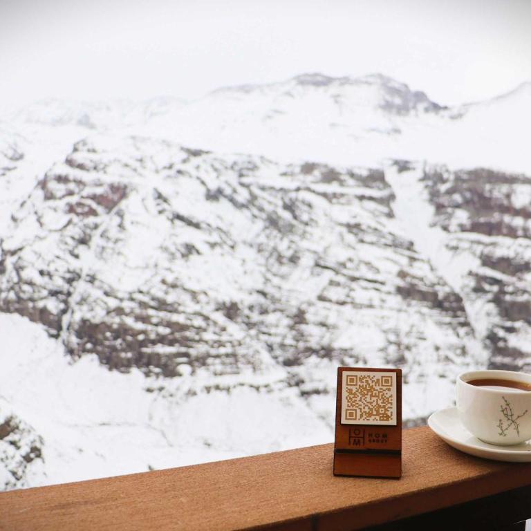 HOM I Departamento en Valle Nevado Amplio Dúplex 6PAX SKIOUT - Apartamento - 8