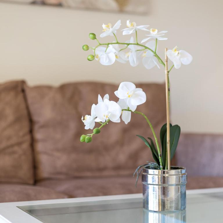 Home2Book Tranquil Escape Corralejo Community Pool - Apartamento de 1 dormitorio - 7