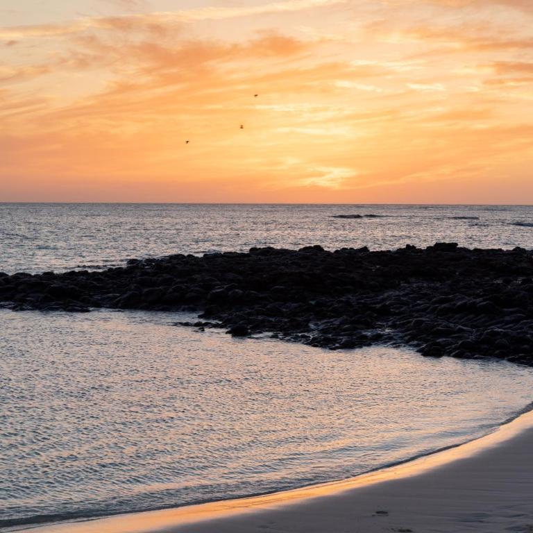 Home2Book Tranquil Escape Corralejo Community Pool - Apartamento de 1 dormitorio - 36
