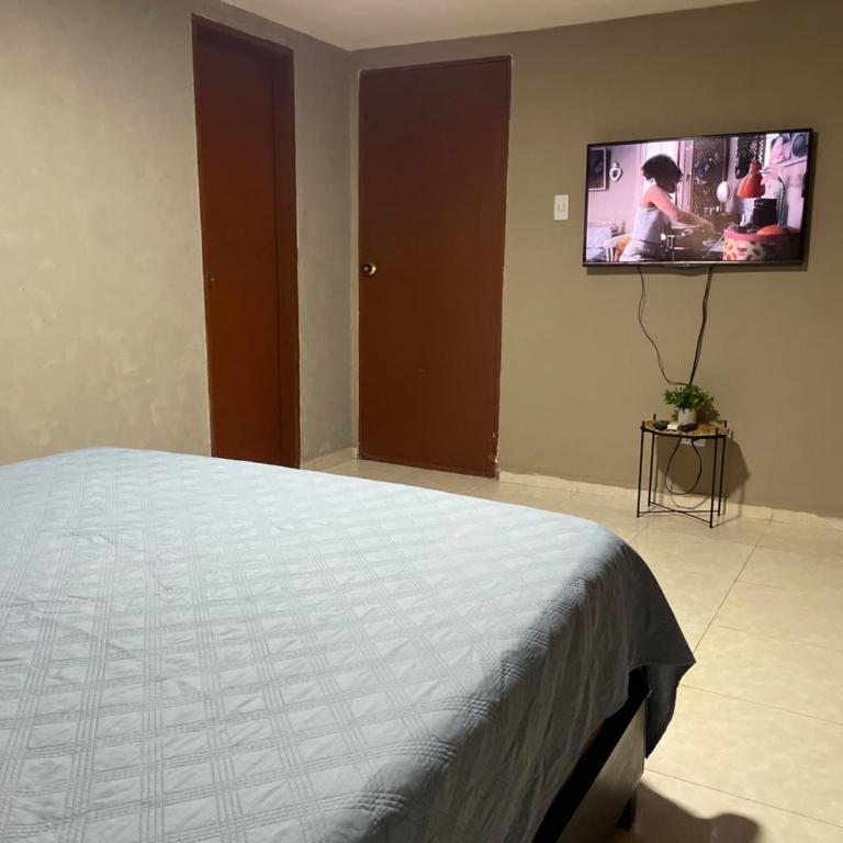 Apartamento 52 - Apartamento de 2 dormitorios - 13
