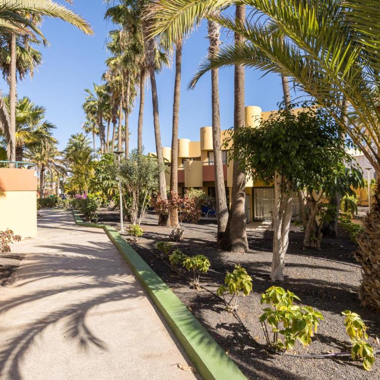 Home2Book Zen Oasis Apt Pool & Terrace, Corralejo - One-Bedroom Apartment - 36