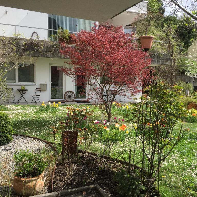 Innsbruck Apartment Nigler - Appartamento Monolocale im Garten - 4