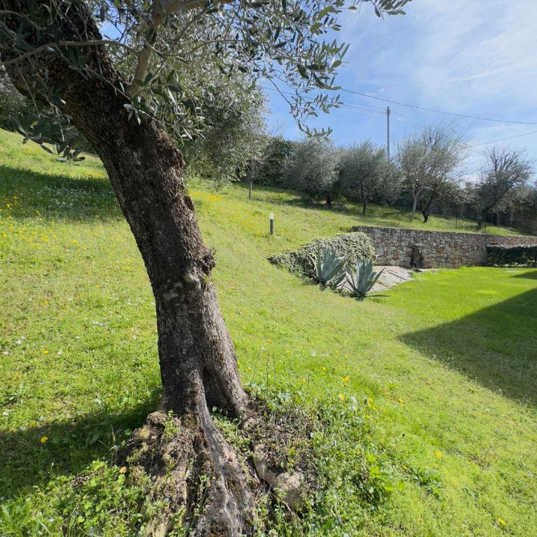 Ca' Campitol - Casa Vacanze - 59