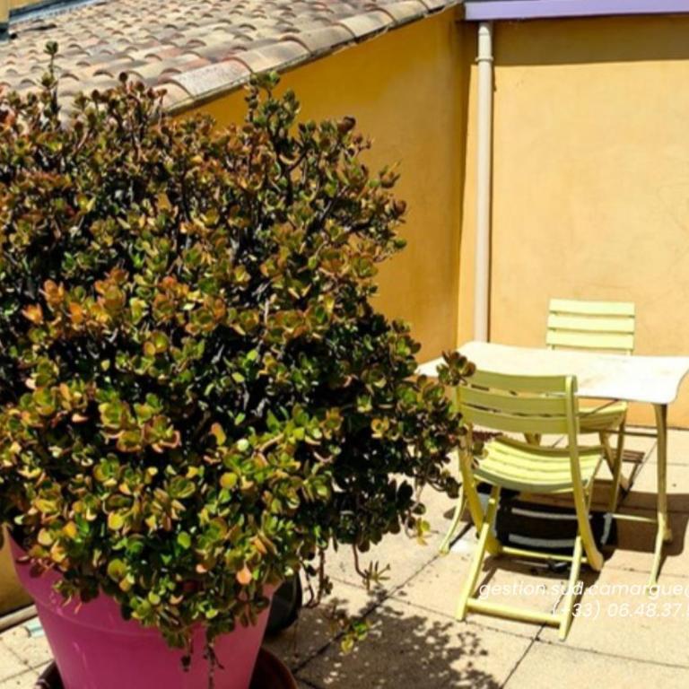 ESCADA Nîmes Gard - Casa de 5 dormitorios - 2