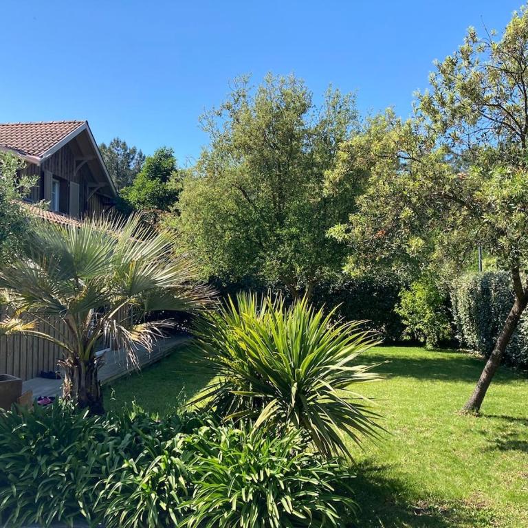 Villa Madonne - Piscine - Plage - Villa avec Piscine Privée - 44