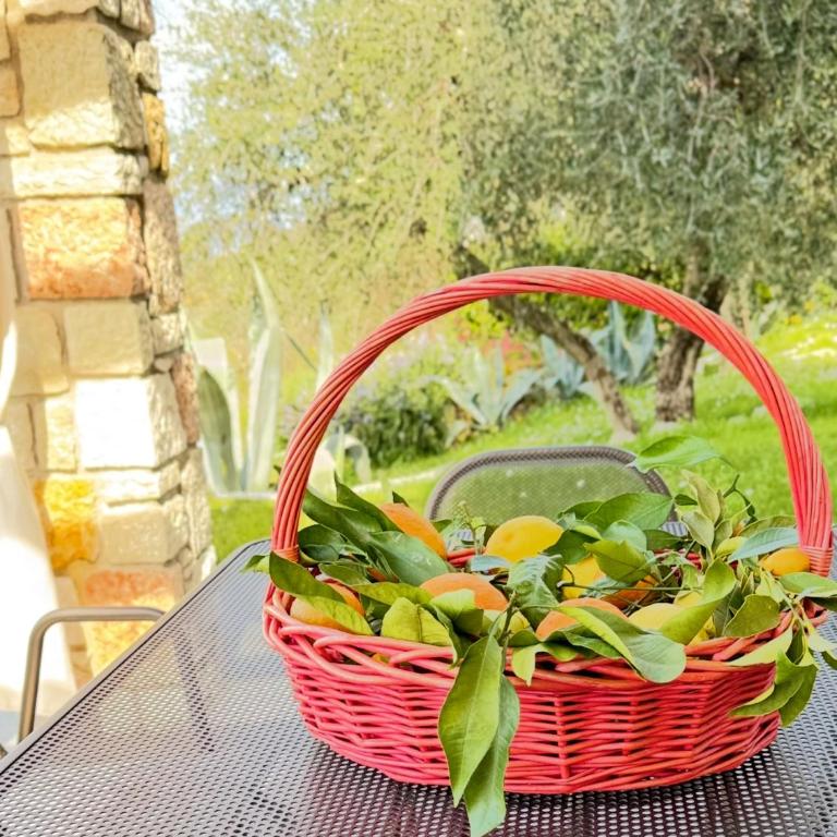 Ca' Campitol - Casa Vacanze - 77