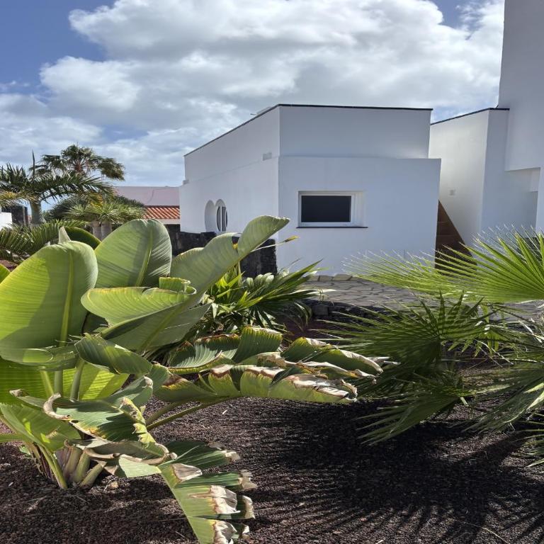 Casa Noelani - XL Family home near beach & center - Villa - 45
