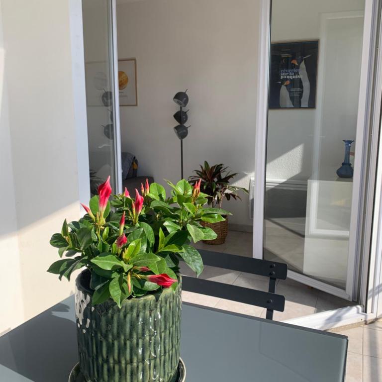 Grand T2 Pointe Rouge plage - Apartamento de 1 dormitorio - 6