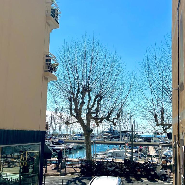 Golfe Juan - 2 personnes - Face au Vieux Port - Appartement - 3