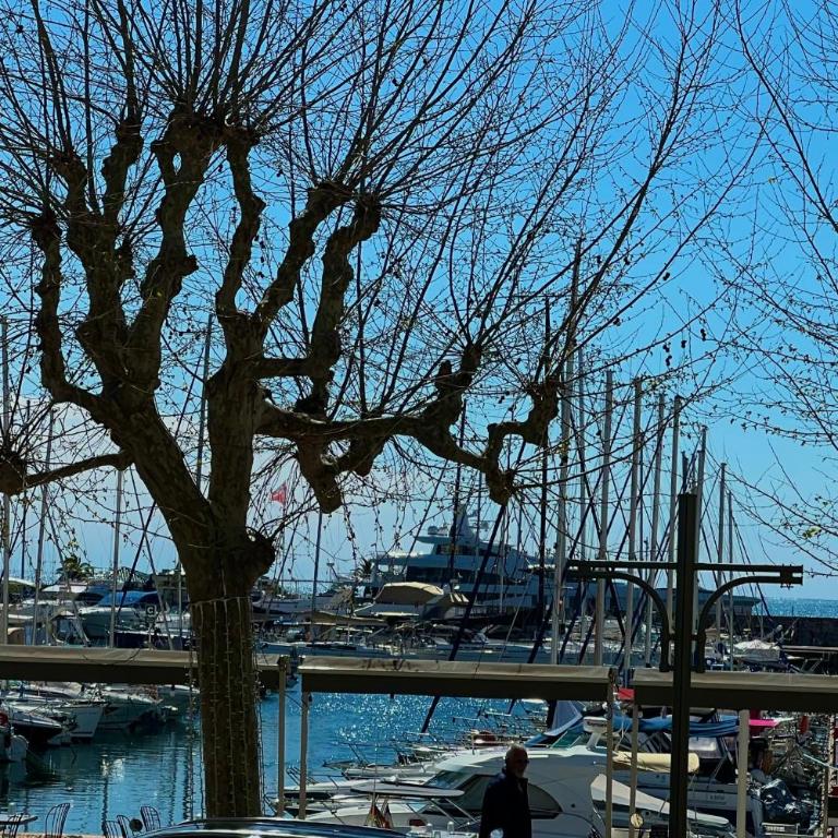 Golfe Juan - 2 personnes - Face au Vieux Port - Appartement - 8