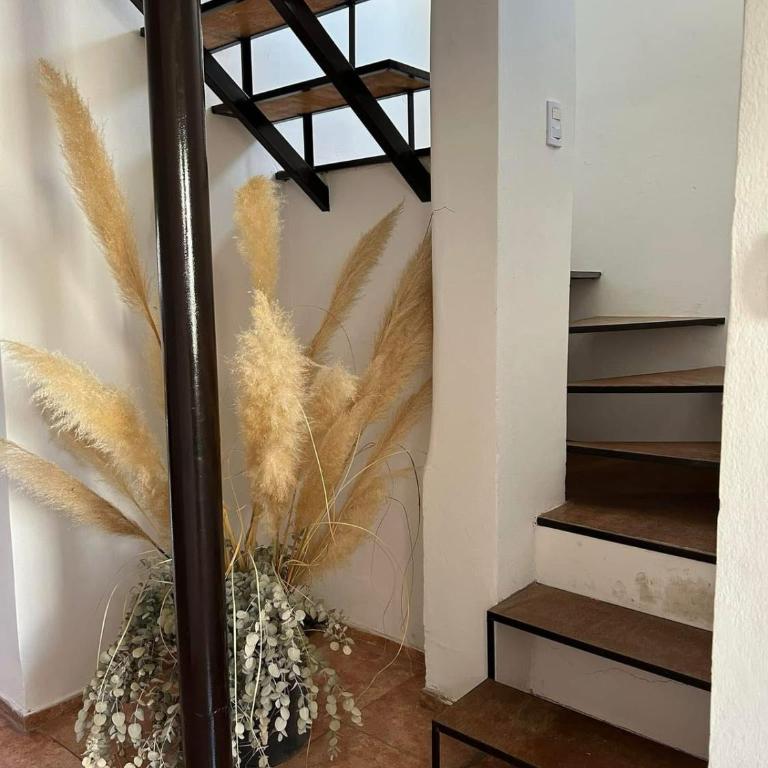 Apart Del Centro - Apartamento - 2 niveles - 3