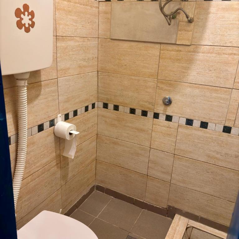 HI Youth and Business Apartments - Standardni Apartman - 10