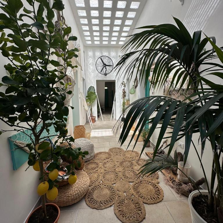 Molly's Home Otranto - One-Bedroom Apartment - 5