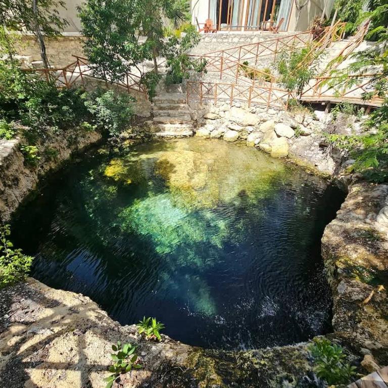 Private Pool and Cenote - Apartment - 39