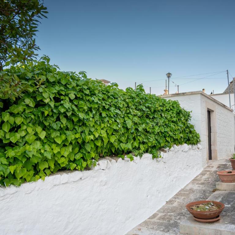 Trullo Wanda - Appartamento con 1 Camera da Letto - 12