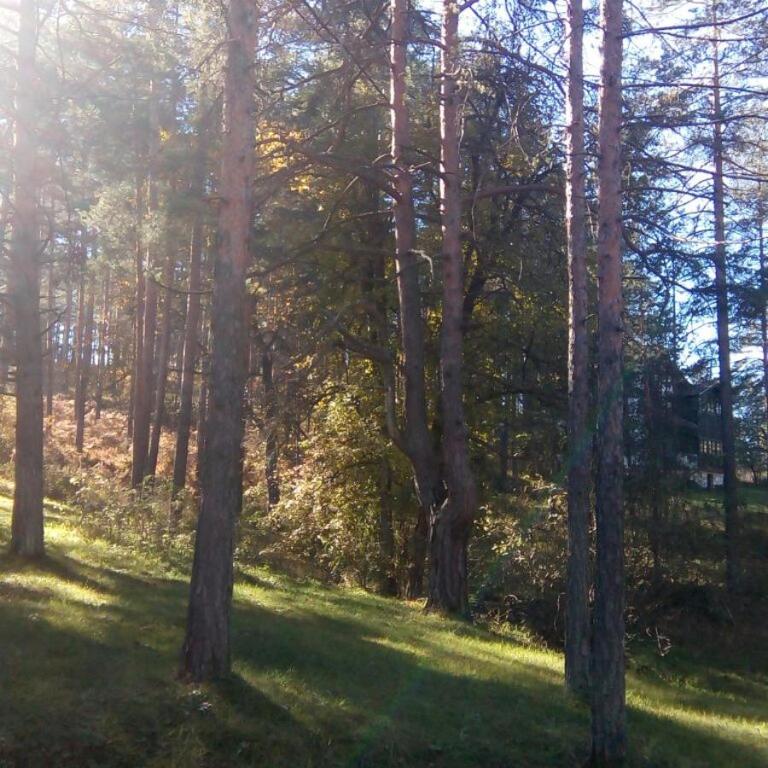 Apartment 9 Gorska Vila - Apartman sa Pogledom na Vrt - 28