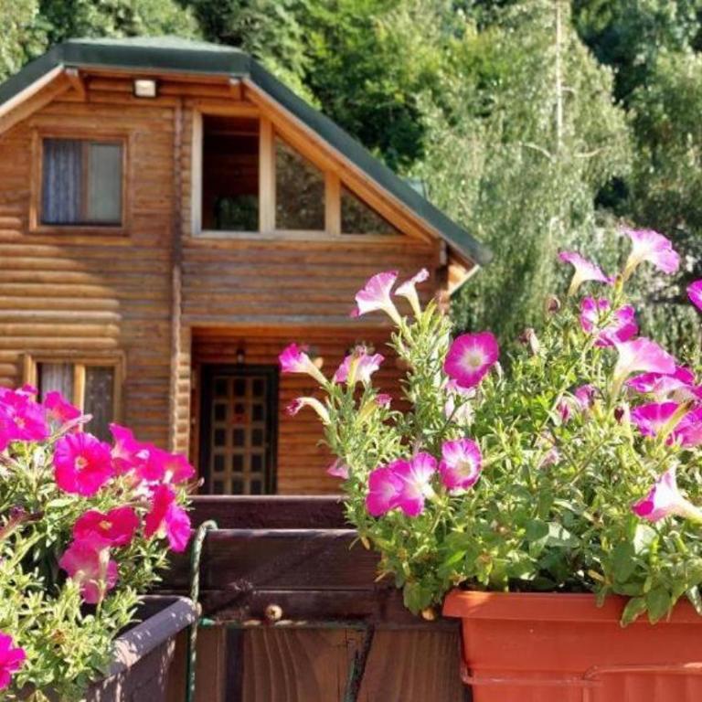 Lodge House Tara - Brvnara sa 3 Spavaće Sobe - 2