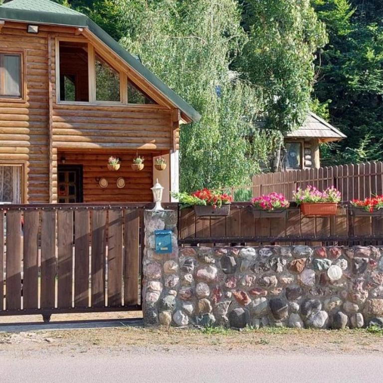 Lodge House Tara - Brvnara sa 3 Spavaće Sobe - 44