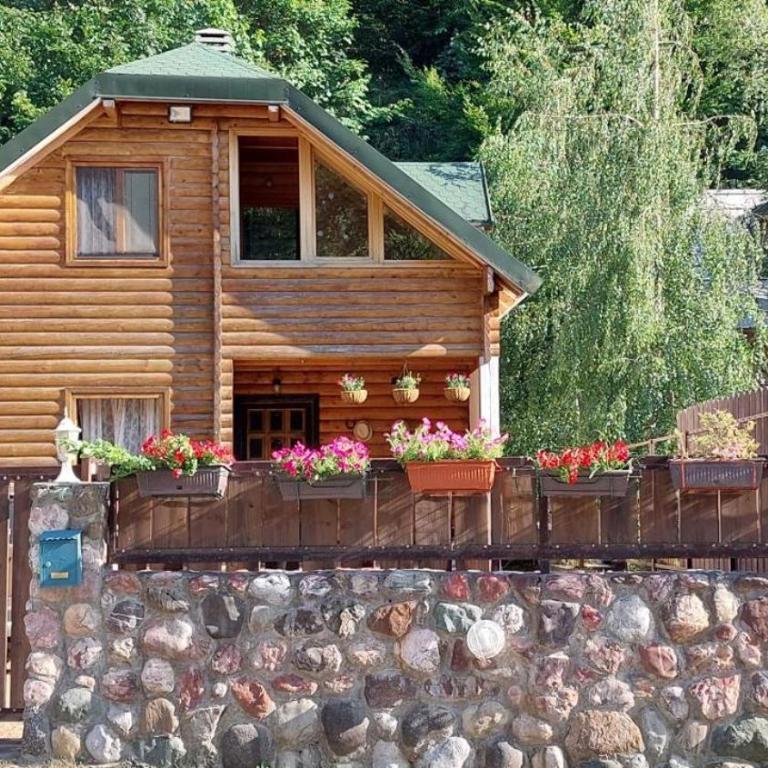 Lodge House Tara - Brvnara sa 3 Spavaće Sobe - 53