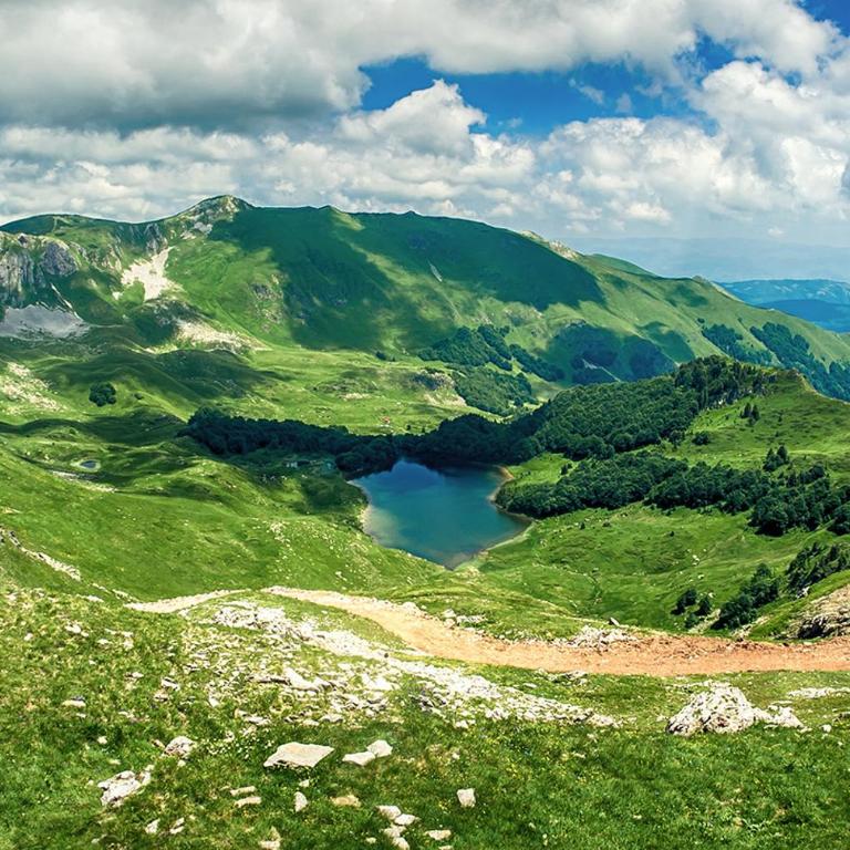 Lodge House Tara - Brvnara sa 3 Spavaće Sobe - 46