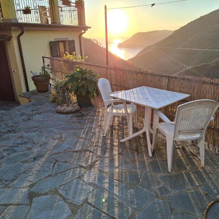 Il vigneto - Apartamento de 1 dormitorio - 1