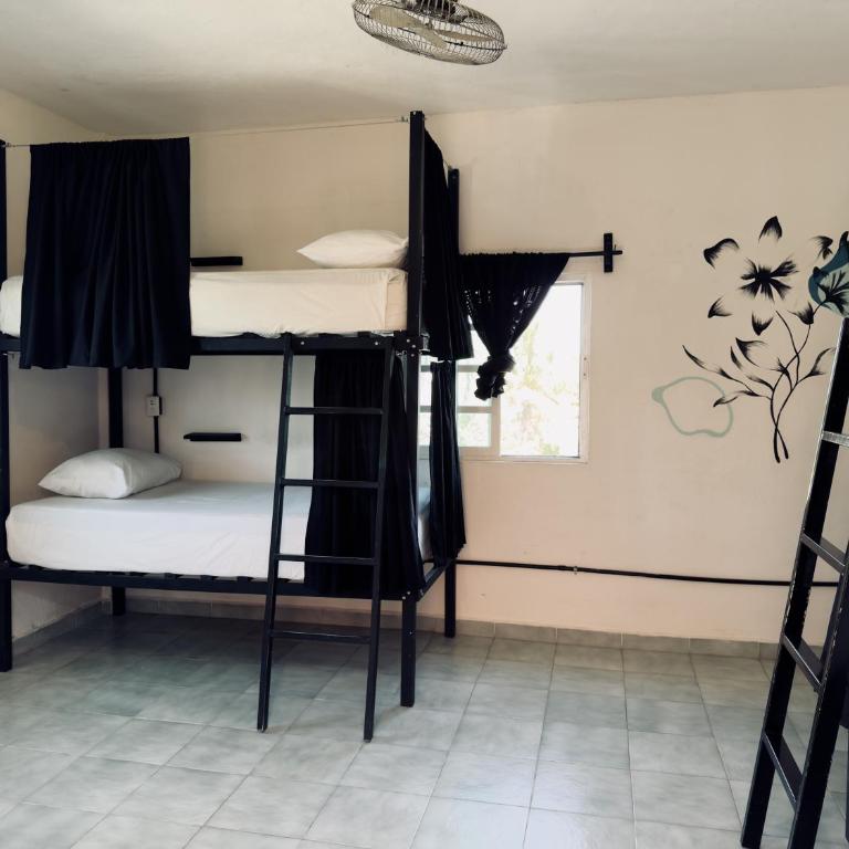 Hostel Oryx Tulum - Cama en habitación femenina compartida de 4 camas - 3