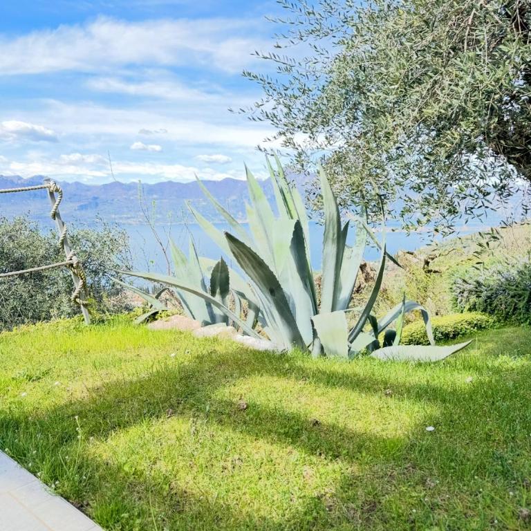 Ca' Campitol - Casa Vacanze - 89