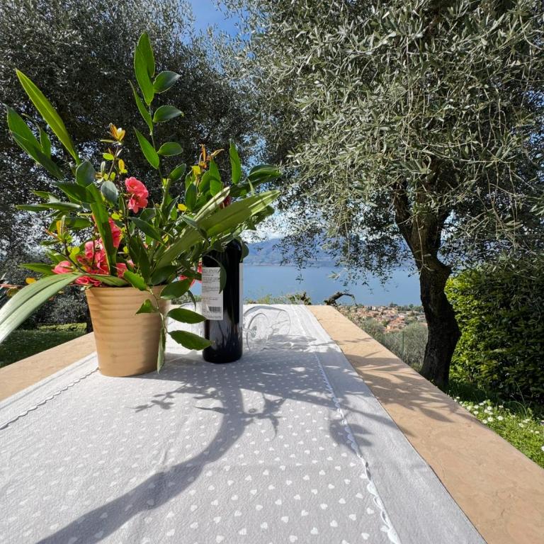 Ca' Campitol - Casa Vacanze - 88