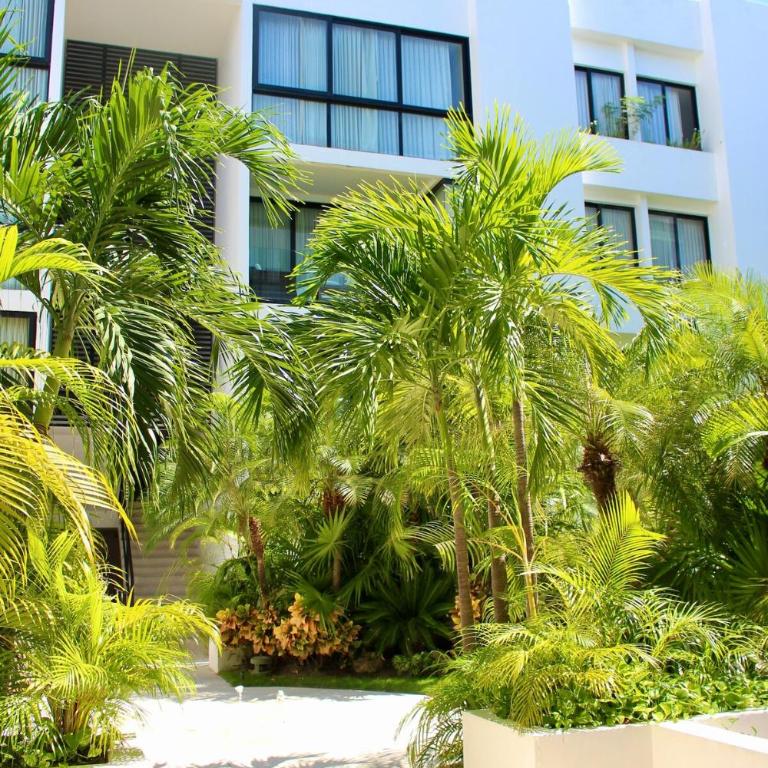 Penthouse terrace excellet WiFi Downtown - One-Bedroom Apartment - 4
