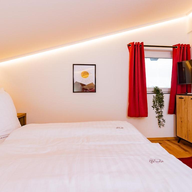 Mäxle Apartments - One-Bedroom Apartment with Balcony and Mountain View - 11
