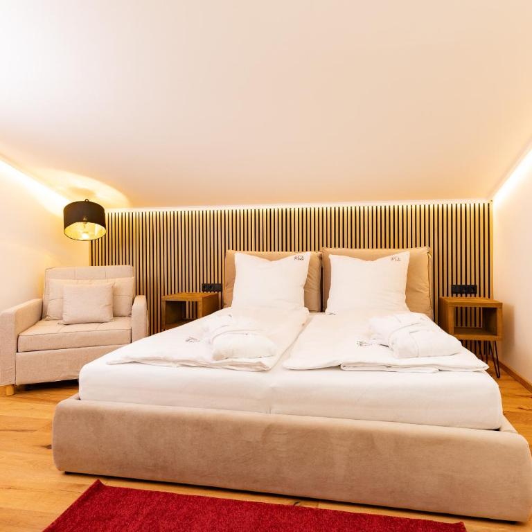 Mäxle Apartments - One-Bedroom Apartment with Balcony and Mountain View - 13