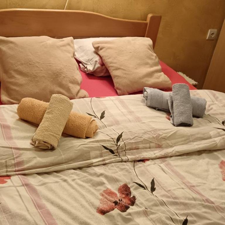Apartman SAN - Apartman sa 1 Spavaćom Sobom - 9